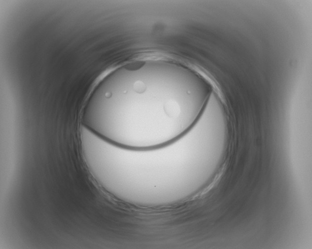 X0000114221481200910091039
