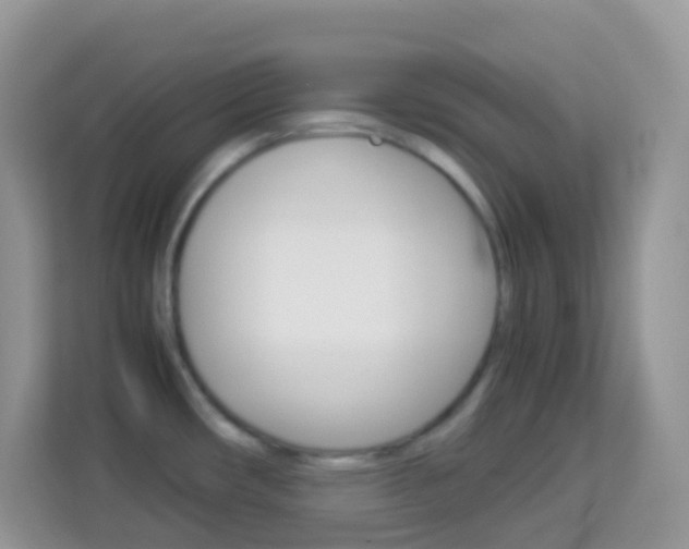 X0000114221482200910091039