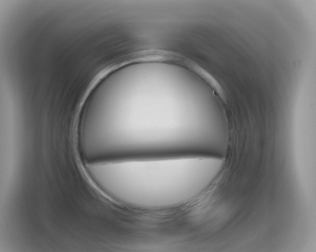 X0000114221483200910091039