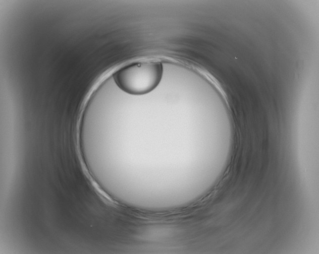 X0000114221485200910091039