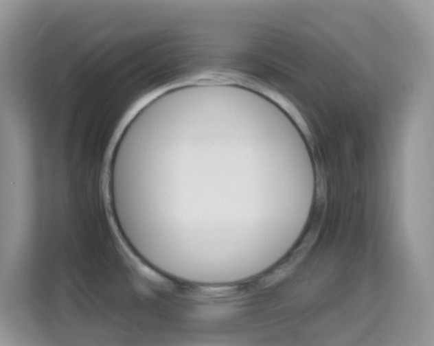 X0000114221486200910091039
