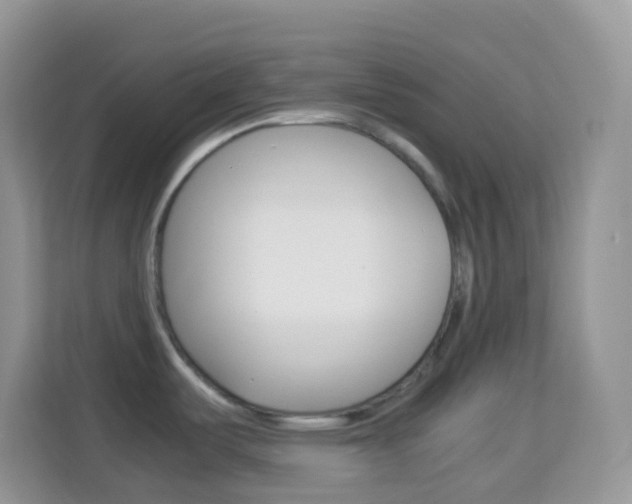 X0000114221487200910091039