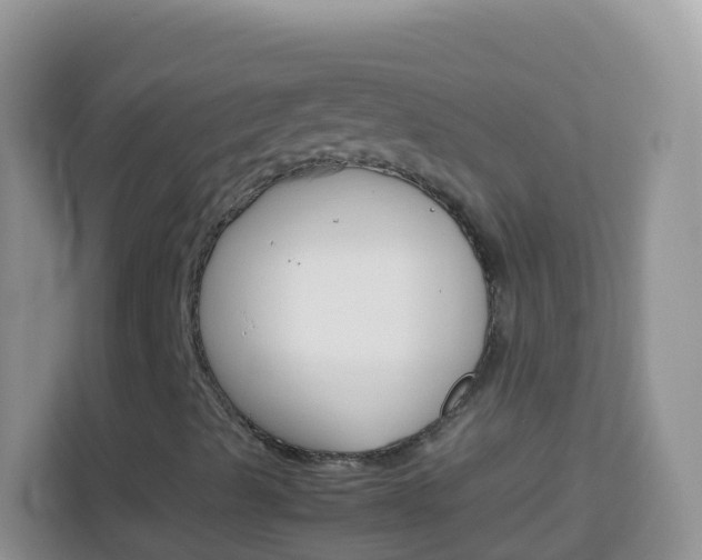 X0000114221489200910091038