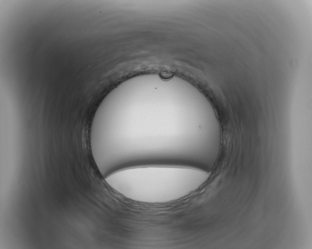 X0000114221490200910091038