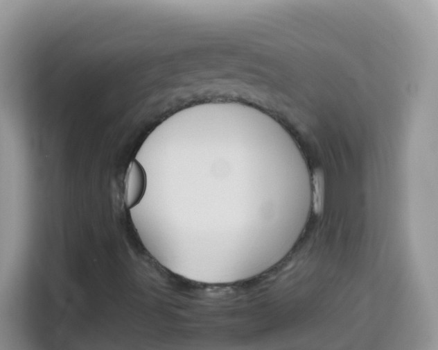 X0000114221491200910091038