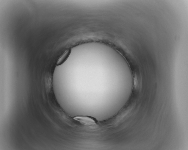 X0000114221492200910091038