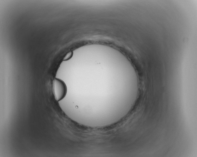 X0000114221493200910091038