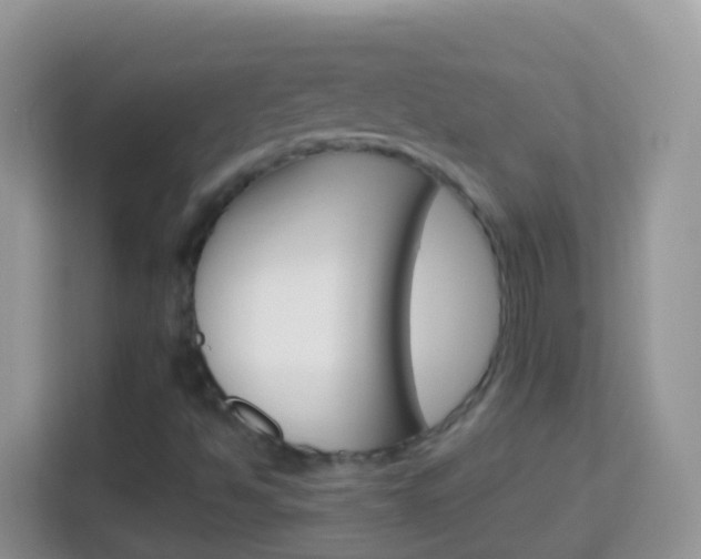 X0000114221494200910091038