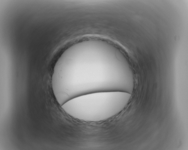 X0000114221495200910091038