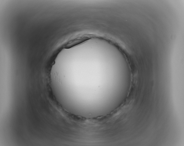 X0000114221496200910091038
