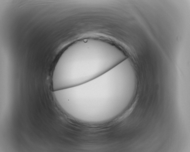 X0000114221497200910091038