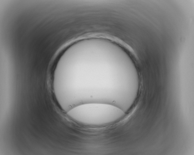 X0000114221498200910091038