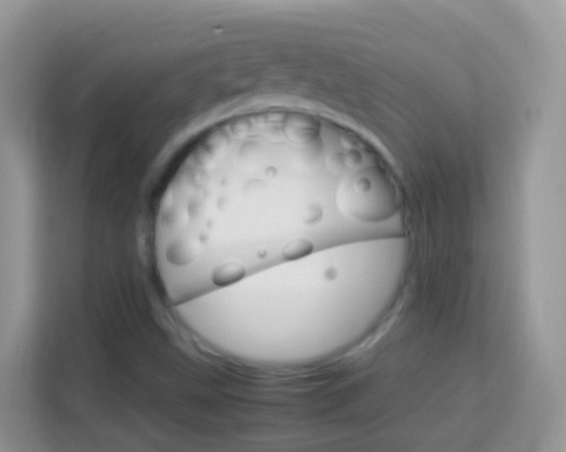 X0000114221499200910091038