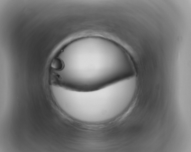 X0000114221502200910091038