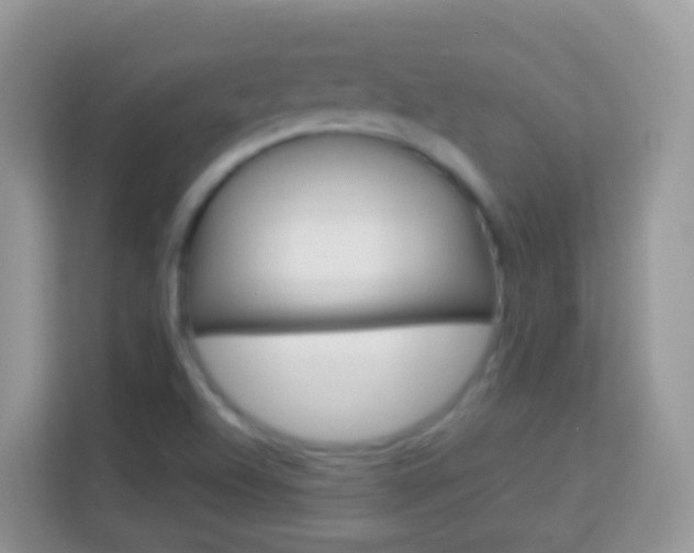 X0000114221504200910091038
