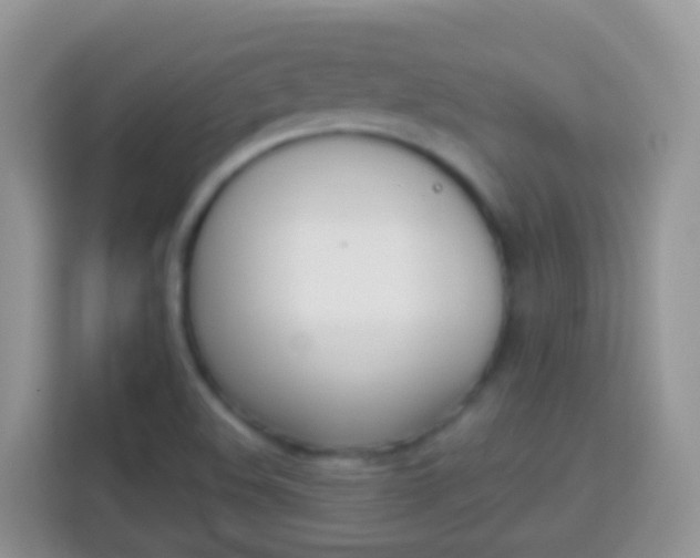 X0000114221508200910091038
