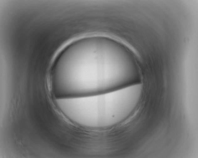 X0000114221510200910091038