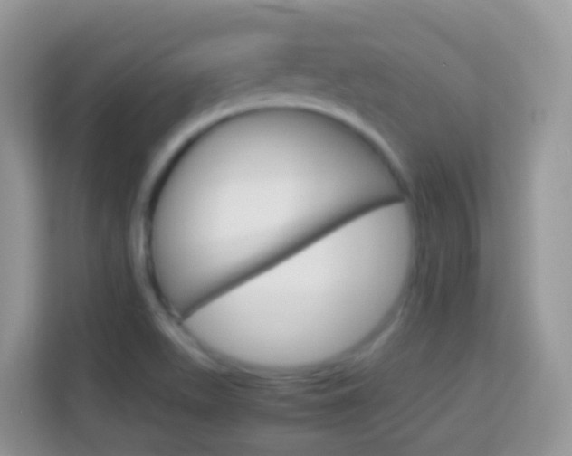 X0000114221511200910091038
