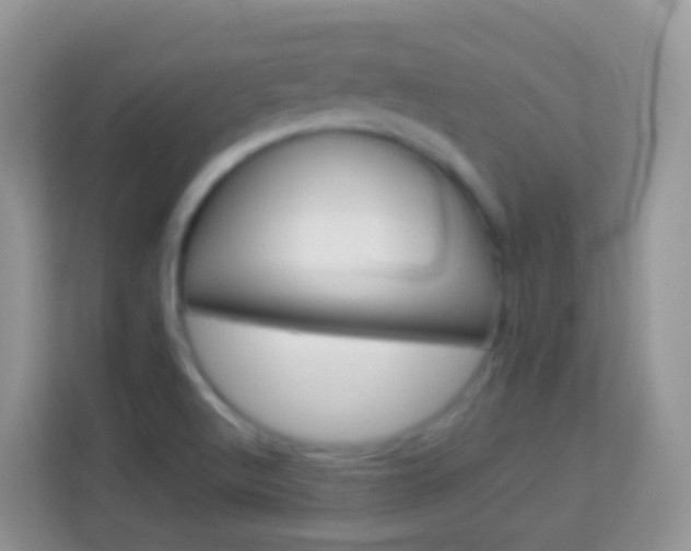 X0000114221512200910091038