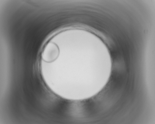 X0000114221514200910091038
