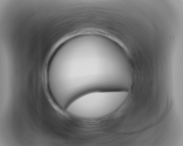 X0000114221515200910091038