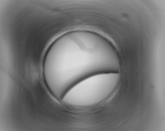 X0000114221517200910091038