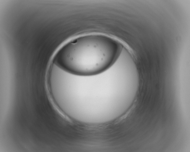 X0000114221518200910091038