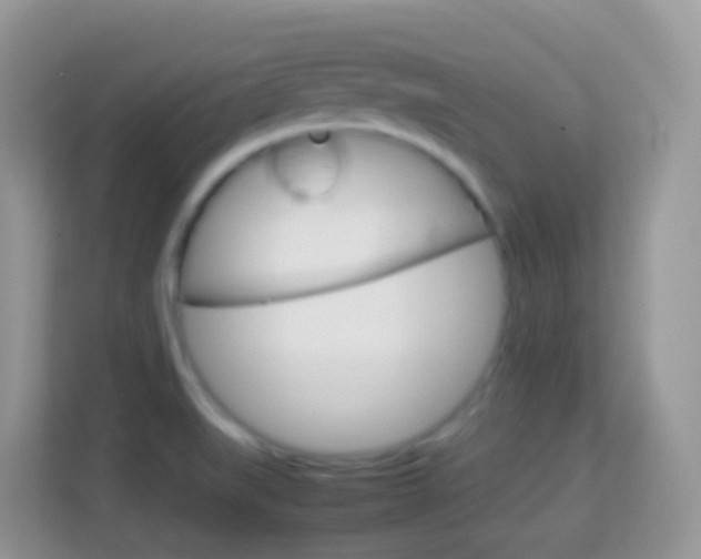 X0000114221519200910091038