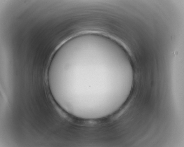 X0000114221521200910091039