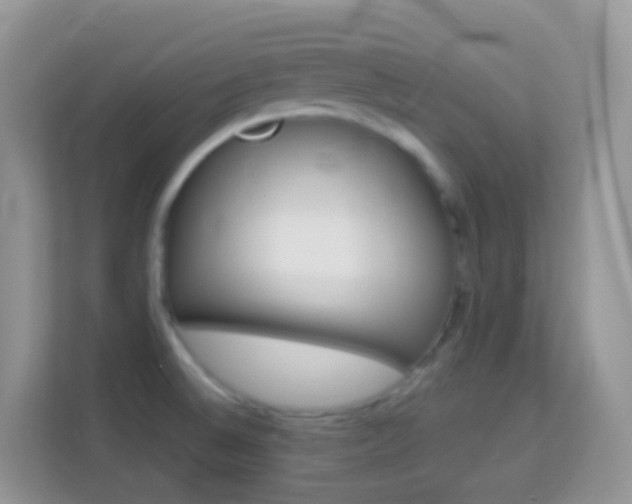 X0000114221524200910091039