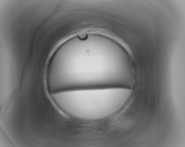 X0000114221525200910091039