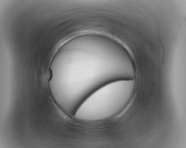 X0000114221529200910091039