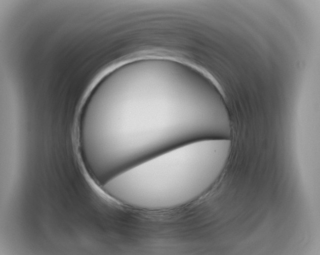 X0000114221531200910091039
