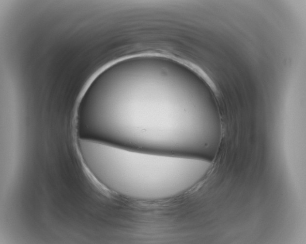 X0000114221532200910091039