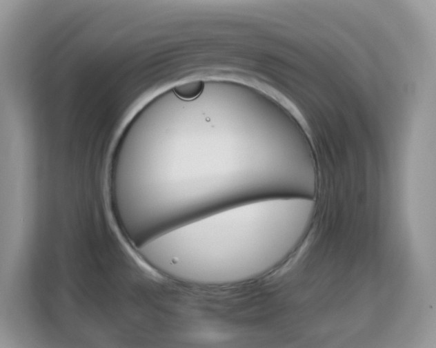 X0000114221533200910091039