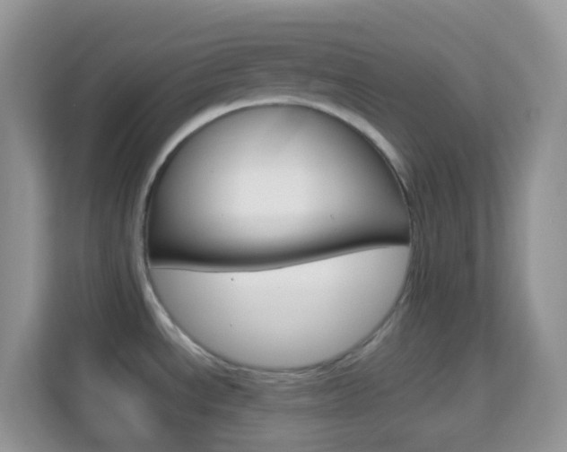 X0000114221534200910091039