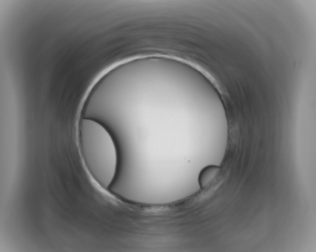 X0000114221535200910091039
