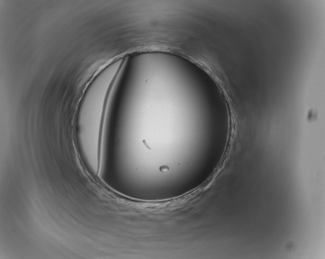 X0000114220001200910091358