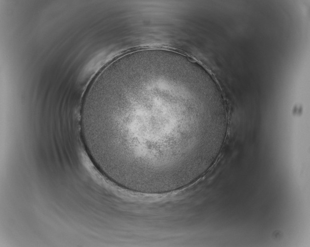 X0000114220002200910091358