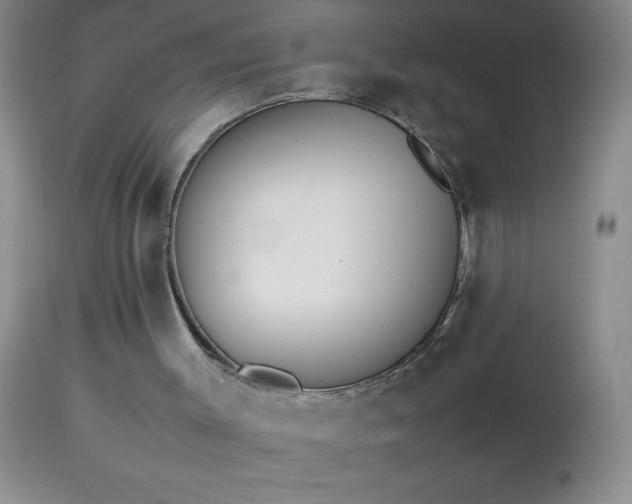 X0000114220003200910091358