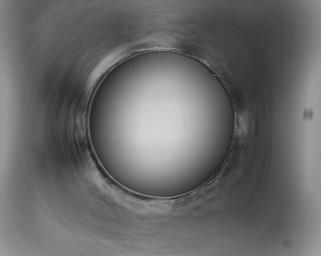 X0000114220004200910091358