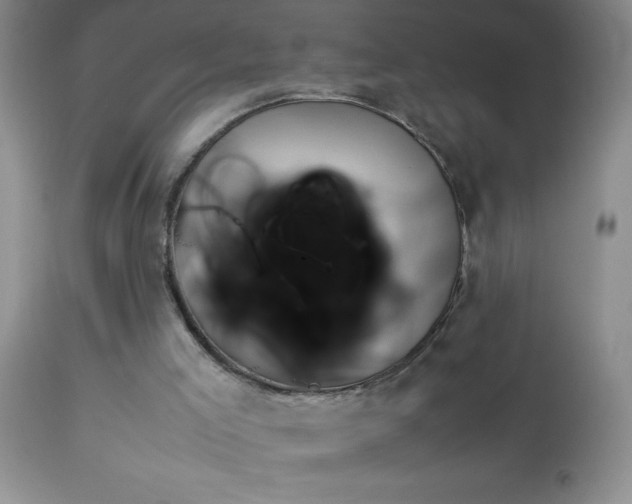 X0000114220005200910091358