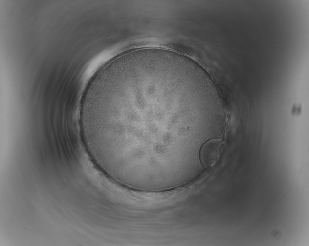 X0000114220006200910091358