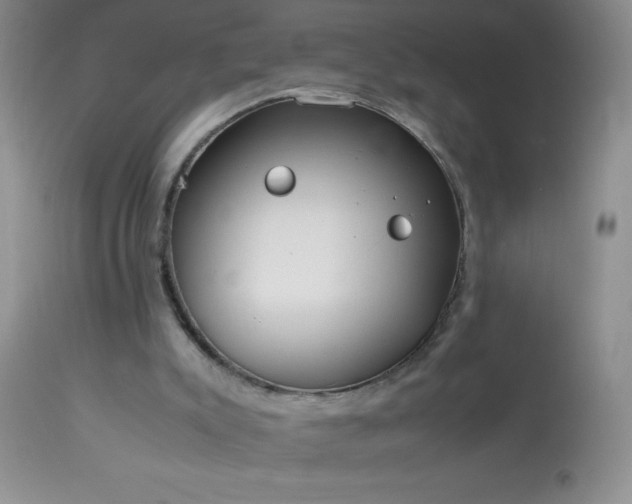 X0000114220007200910091358