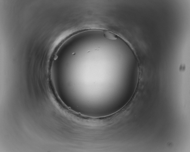 X0000114220008200910091358