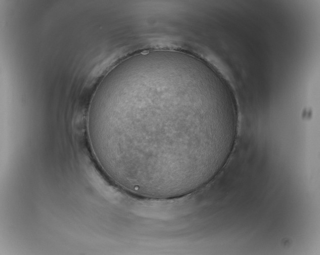 X0000114220009200910091358