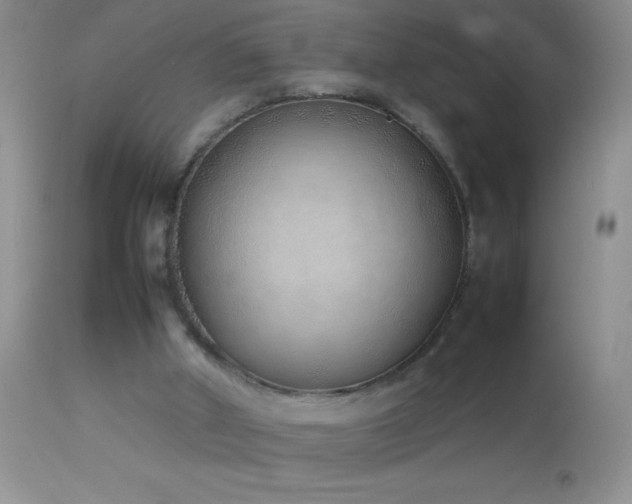 X0000114220010200910091358