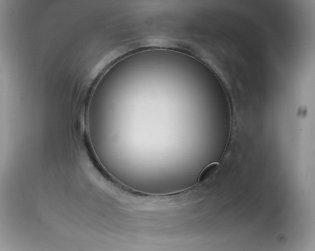 X0000114220011200910091358