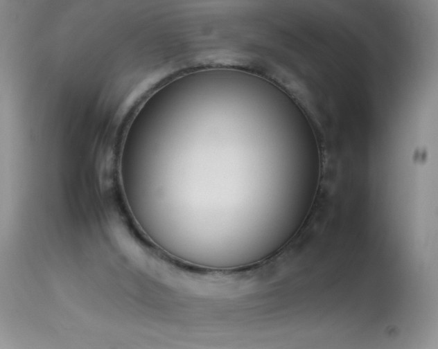 X0000114220012200910091358