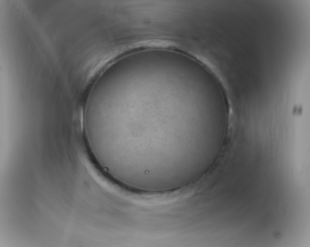 X0000114220013200910091358